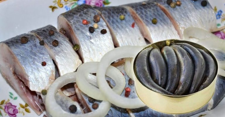 Зачинета солена харинга по ГОСТ