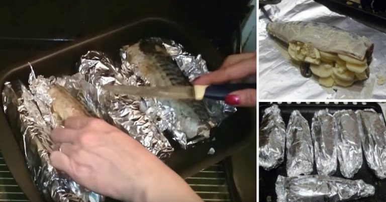 Полнета скуша
