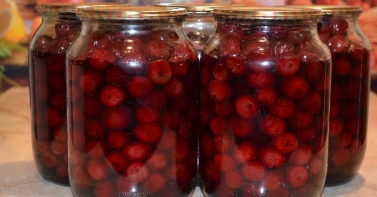 Вишня с косточкой на зиму без сахара